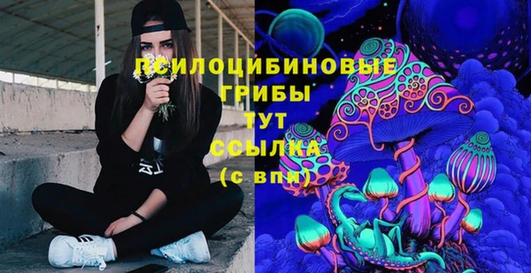 прущая мука Гусев