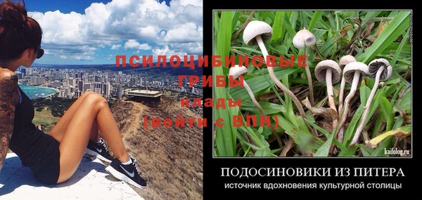 прущая мука Гусев