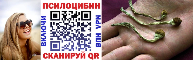 Купить  Усть-Катав  Галлюциногенные грибы Psilocybe 